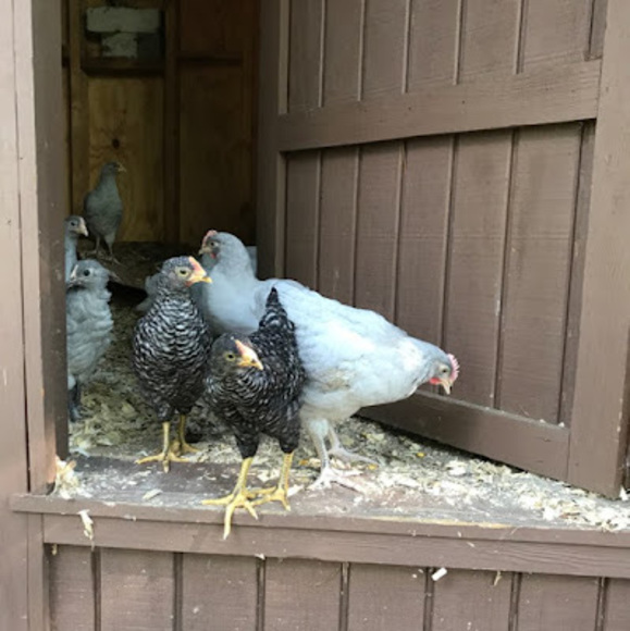 Meet your Posher, Becky - Picture 2 of 2